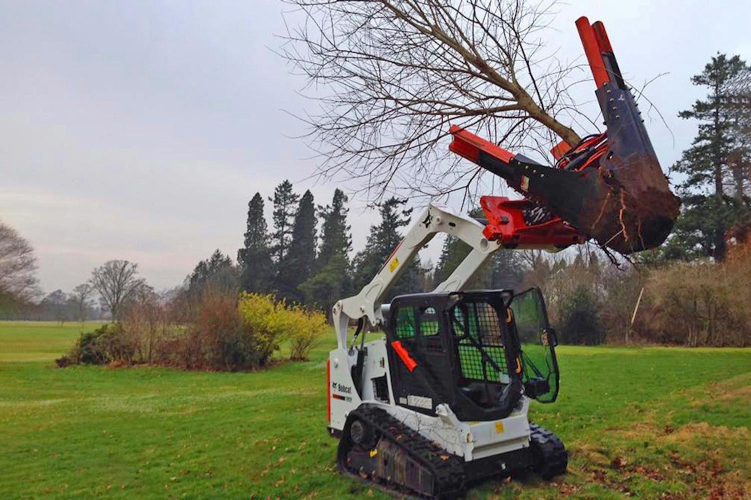Bobcat: Flytta träd Bobcat: Flytta träd